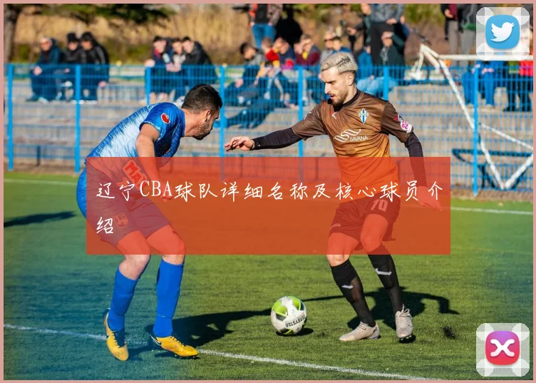 辽宁CBA球队详细名称及核心球员介绍