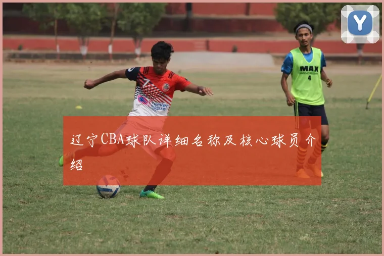 辽宁CBA球队详细名称及核心球员介绍